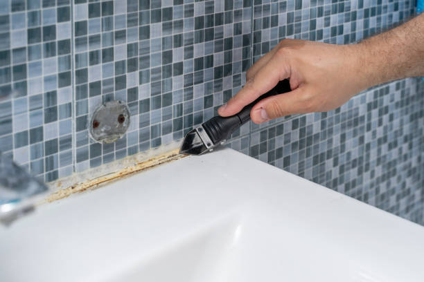 Best Emergency Mold Removal  in Petersburg, MI