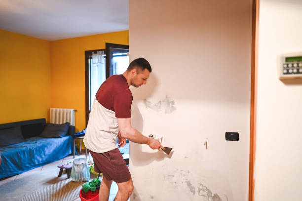 Best Water Damage Restoration  in Petersburg, MI